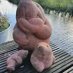 Walvisch Ghyspe Bed & Breakfast Wormer