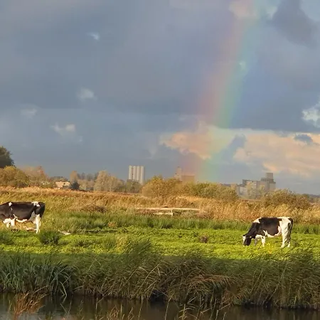 فندق مبيت وإفطار Walvisch Ghyspe 3*