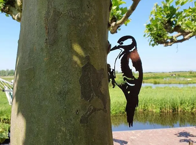 Bed & Breakfast Walvisch Ghyspe