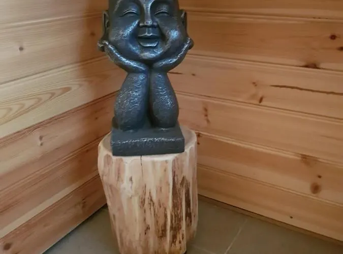 Bed & Breakfast Walvisch Ghyspe Wormer