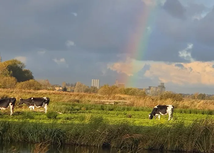 Bed & Breakfast Walvisch Ghyspe 3*