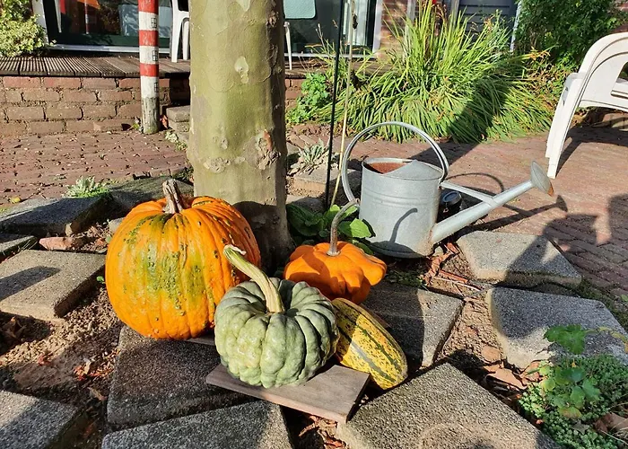 Walvisch Ghyspe Wormer