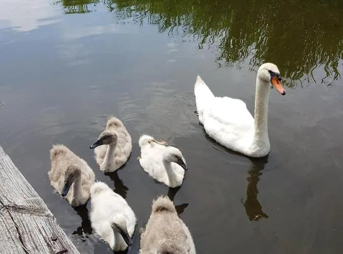 Walvisch Ghyspe Отель типа 